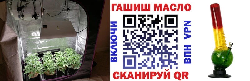 ТГК концентрат  Купить где  Кадников 