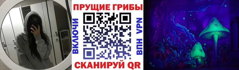 Купить где  Кадников  Псилоцибиновые грибы Psilocybine cubensis 