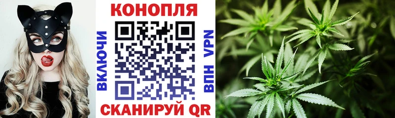 Бошки марихуана семена  Купить где  Кадников 